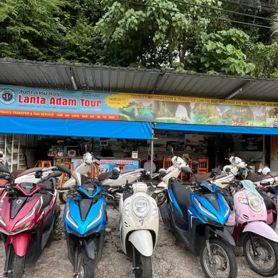 Rows of rental scooters under the blue Lanta Adam Tour shop sign